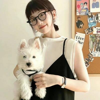 代号九耳犬